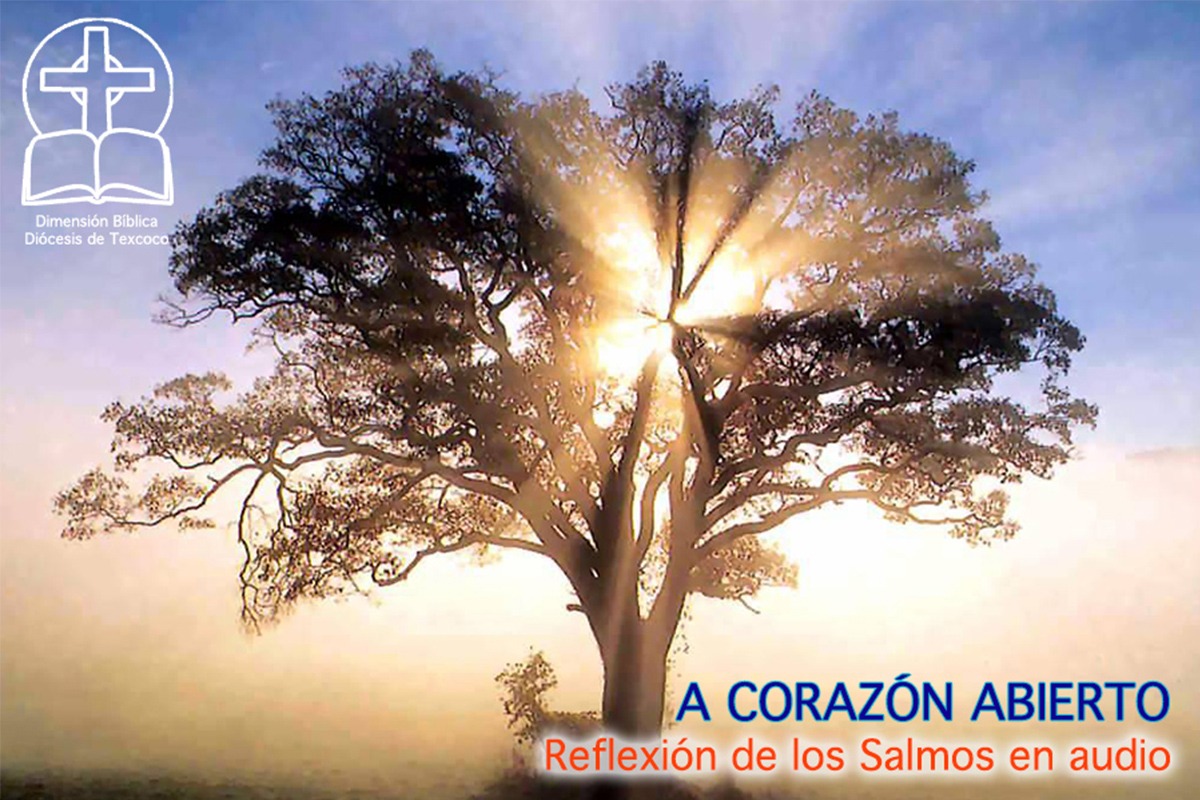 A corazón abierto