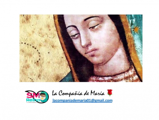 Logo Compañía de María