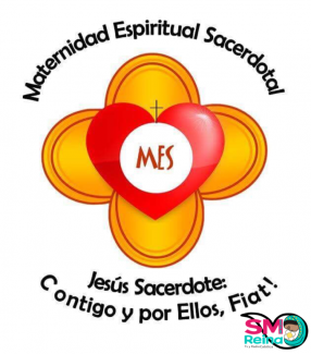 logo m.e.s.