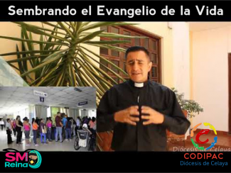 evangelio de la vida