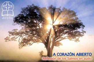 A corazón abierto