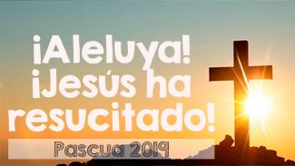 Aleluya, Jesús ha resucitado