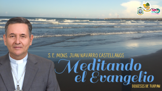 Banner obispo de Tuxpan 